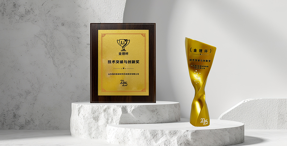 喜报 | 博鱼·体育(中国)官方网站-BOYU SPORTS荣获真锂研究“技术突破与创新奖”